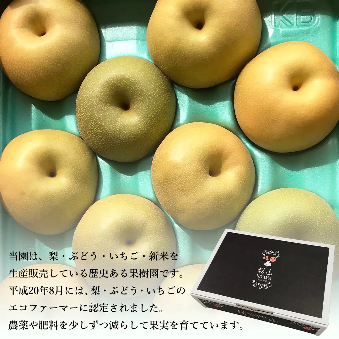 【 先行予約 】茨城県産 梨 品種おまかせお楽しみセット 約3kg 6玉～10玉 ( 茨城県共通返礼品 : 常陸太田市 )【 2026年 9月上旬頃より発送 】 