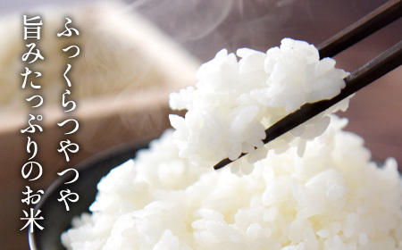 【6回定期便】特A 特別栽培米 コシヒカリ 精米 5kg 定期便