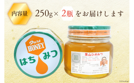 はちみつ 国産 純粋はちみつ 里山ひめみつ 250g×2 [里山養蜂 坂本稔 石川県 津幡町 tb17nir80003] 