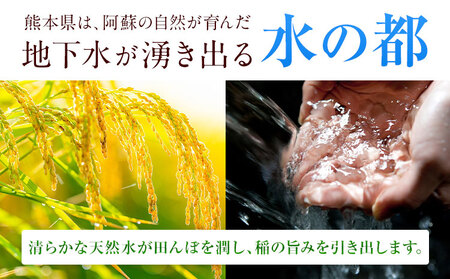 米ふるさと無洗米 20kg (5kg×4袋) 米 《1-5日以内に出荷予定(土日祝除く)》