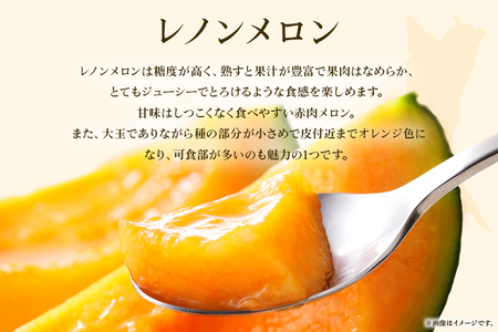 【数量限定・先行予約】 おみたまレノンメロン 赤肉 2玉 秀品 【7月11日まで受付・6月以降順次発送予定】 52-D