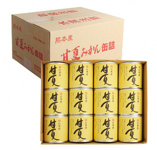 B242-50 甘夏缶詰（24缶入×2ケース）