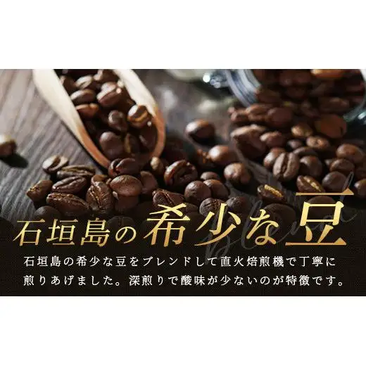 自家焙煎ドリップバッグ 11g×24個入　TR-1-1