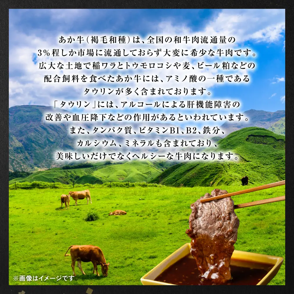 【GI認証】 くまもとあか牛 焼肉用 500g お肉 牛 焼肉 BBQ 赤身 バーベキュー 和牛 牛肉 和牛 褐毛和牛 国産 国産和牛 冷凍 
