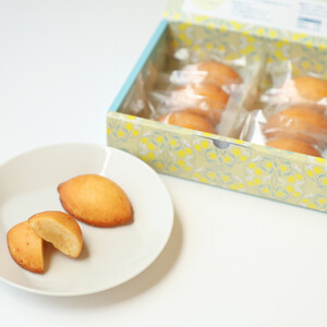 お菓子　レモンケーキ12個（6個入×2箱） ギフト 個包装 スイーツ ケーキ  焼き菓子