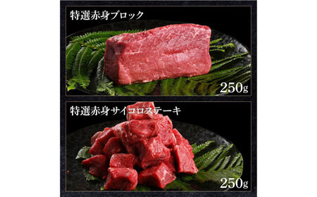 熟成肉 土佐和牛 詰め合わせ6種 【株式会社LATERAL】 [ATAY079]