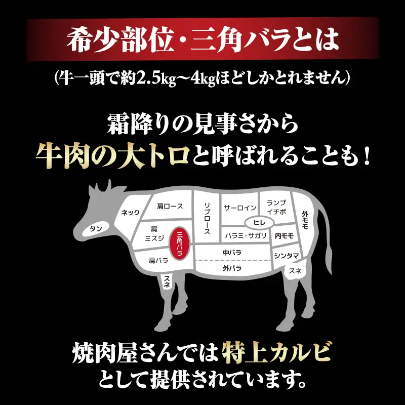 佐賀牛 厚切りカルビ 焼肉 500g 焼肉 牛肉 C260-003
