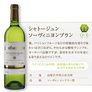 シャトージュン 2品種飲み比べセット【CABERNET SAUVIGNON・SAUVIGNON BLANC】（MG）C5-667