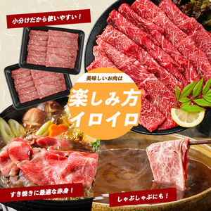 鹿児島県産黒毛和牛 赤身スライス600g 200g×3P カミチク IB112-003 牛肉 牛肉 