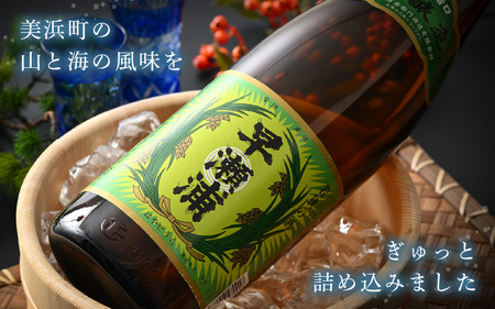 入手困難【早瀬浦】本醸造 1800ml × 4本 セット【日本酒 地酒 福井 美浜 早瀬 フルーティ 男酒 硬水 ミネラル 希少 ご褒美 家飲み 敬老の日 プレゼント】[m16-d010]