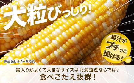 極甘とうもろこし ピーターコーン 20本 特大サイズ(1本380g以上) 高橋賢三【先行予約】《2026年8月上旬-9月中旬頃出荷》 とうもろこし トウモロコシ 北海道とうもろこし 朝採れとうもろこし 産地直送とうもろこし