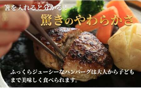 佐賀の肉汁ハンバーグ 150g×8個(1.2kg) 佐賀産豚肉×佐賀牛 佐賀牛 肉汁 国産 手ごね 冷凍 絶品 簡単 アレンジ さがぎゅう 牛肉 N17-1