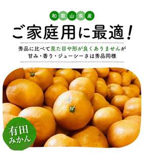 【訳あり・ご家庭用】完熟有田みかん  サイズ混合(2S～2L)　約10.2kg(10kg+200g)【2026年9月中旬～10月上旬頃に順次発送予定】【AA90138-ard197F-09】