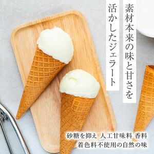 【訳あり】ミルク ジェラート 1.25リットル【大容量 アイス 業務用 スイーツ 人気 デザート 冷凍 氷菓子 1.25L 家族 ファミリーサイズ 朝搾りミルク】