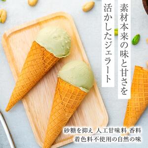 【数量限定】ピスタチオ ジェラート 2.5リットル【大容量 アイス 業務用 訳あり スイーツ 人気 デザート 冷凍 氷菓子 2.5L 家族 ファミリーサイズ イタリア シチリア産】