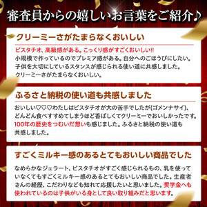 【数量限定】ジェラート 500ml×2種 食べ比べ シチリア産 ピスタチオ 豆乳ピスタチオ【大容量 アイス 業務用 セット スイーツ 人気 デザート 冷凍 氷菓子 合計 1リットル 家族 ファミリーサイズ イタリア】