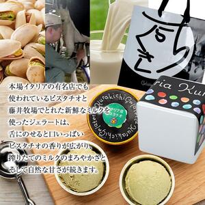 【数量限定】ピスタチオ ジェラート 121ml×8個（2種各4個）食べ比べ【アイス スイーツ 人気 デザート 冷凍 氷菓子 小分け セット 詰め合わせ イタリア シチリア産 豆乳 ピスタチオ】