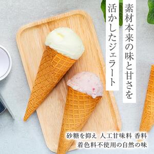 【数量限定】ジェラート 500ml×2種 食べ比べ 朝搾りミルク TAROいちごミルク【大容量 アイス 業務用 セット 合計 1リットル スイーツ 人気 デザート 冷凍 氷菓子 家族 ファミリーサイズ 苺】