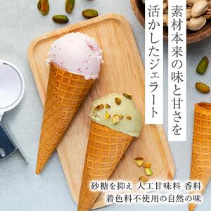 【数量限定】ジェラート 500ml×2種 食べ比べ  シチリア産 ピスタチオ TAROいちごミルク【大容量 アイス 業務用 セット 合計 1リットル スイーツ 人気 デザート 冷凍 氷菓子 家族 ファミリーサイズ 苺】