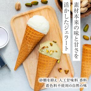 【数量限定】ジェラート 500ml×2種 食べ比べ  シチリア産 ピスタチオ 朝搾りミルク【大容量 アイス 業務用 セット 合計 1リットル スイーツ 人気 デザート 冷凍 氷菓子 家族 ファミリーサイズ】