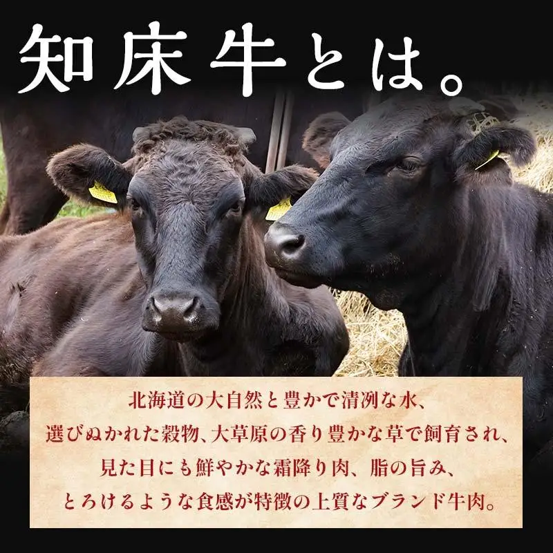 知床牛100%ハンバーグステーキセット 8個入り  北海道 道産牛 牛肉 冷凍 簡単調理 ボイル 湯煎 レトルト お弁当 おかず 温めるだけ 生産者 支援 応援