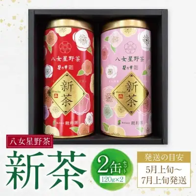 Z26-18 寄附額改定↓↓ 新茶 八女星野茶 120g×2本