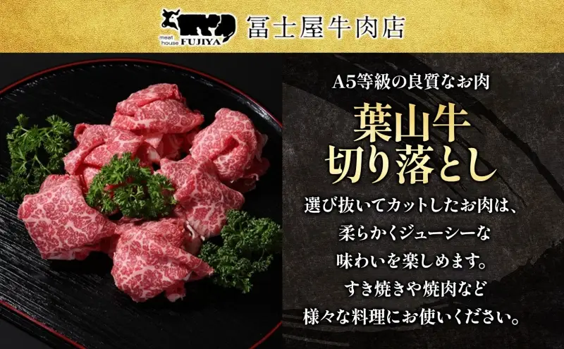  葉山牛 特上 切り落とし 1kg 牛肉 和牛 黒毛和牛 葉山牛 切り落とし 霜降り 赤身 すき焼き しゃぶしゃぶ 牛丼 煮物 贅沢 旨み コク 柔らかい A5 贈り物 ギフト お取り寄せ 夕食  おかず 神奈川県 逗子市