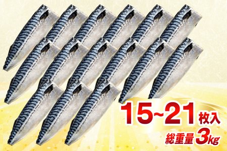 訳あり 減塩 無添加 塩サバ フィレ Mサイズ 総重量 3kg (15-21枚入) [足利本店 宮城県 気仙沼市 20565687]