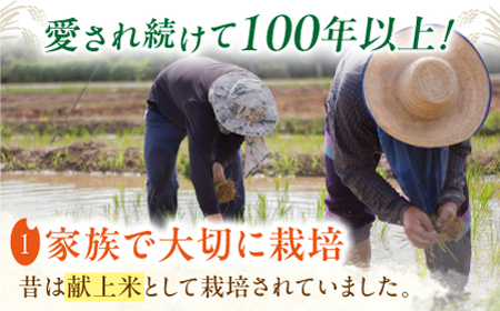 ヒノヒカリ 白米10kg 【角田農園】[ZEV002] 白米 コメ ごはん  熊本 山鹿