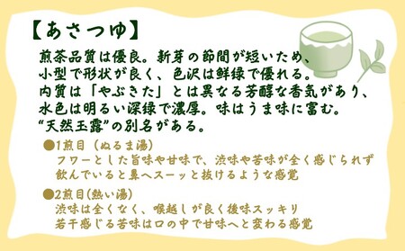 【 R8年産 】種子島 射場貴大 茶園 「さえみどり」 「あさつゆ」 「なんめい」 「やぶきた」 茶ツウ が 喜ぶ 単品 味わい セット　NFN573【300pt】// 日本茶 緑茶 希少品種 お茶 新茶 一番茶 煎茶 