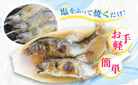 【先行予約】塩焼き用 活〆鮎 約600g （5尾～10尾）| 鮎※北海道・沖縄・離島への配送不可 ※2026年7月上旬～9月中旬頃に順次発送予定