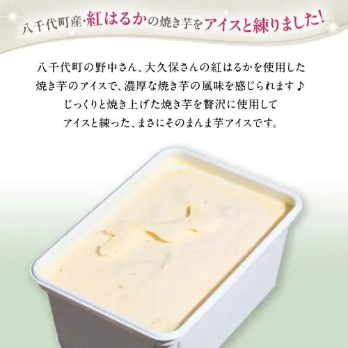 茨城県産 大地の恵み 特製 ジェラート 焼き芋 1000ml バスクチーズケーキ
