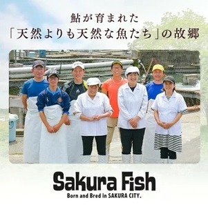 【鮎のギフトセット中】産地直送 天然仕立て おつまみ 高級 ※沖縄・離島への配送不可