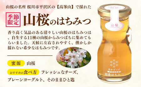【数量限定】山桜はちみつと春の田舎はちみつの3種セット[Ｂ3山桜] 【茨城県共通返礼品／五霞町】  生ハチミツ 非加熱 はちみつ 蜂蜜 春 ボトル入り セット 人気 茨城県産 五霞町