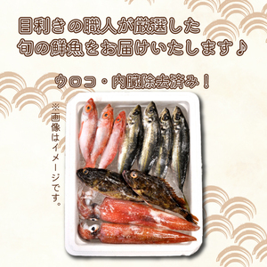 旬の 鮮魚 約 3kg 下処理済 (鮮魚鮮魚鮮魚鮮魚鮮魚鮮魚鮮魚鮮魚鮮魚鮮魚鮮魚鮮魚鮮魚鮮魚鮮魚鮮魚鮮魚鮮魚鮮魚鮮魚鮮魚鮮魚鮮魚鮮魚鮮魚鮮魚鮮魚鮮魚鮮魚鮮魚鮮魚鮮魚鮮魚鮮魚鮮魚鮮魚鮮魚鮮魚鮮魚鮮魚鮮魚鮮魚鮮魚鮮魚鮮魚鮮魚鮮魚鮮魚鮮魚鮮魚鮮魚鮮魚鮮魚鮮魚鮮魚鮮魚鮮魚鮮魚鮮魚鮮魚鮮魚鮮魚鮮魚鮮魚鮮魚鮮魚鮮魚鮮魚鮮魚鮮魚鮮魚鮮魚鮮魚鮮魚鮮魚鮮魚鮮魚鮮魚鮮魚鮮魚鮮魚鮮魚鮮魚鮮魚鮮魚鮮魚鮮魚鮮魚鮮魚鮮魚鮮魚鮮魚鮮魚鮮魚鮮魚鮮魚鮮魚鮮魚鮮魚鮮魚鮮魚鮮魚鮮魚鮮魚鮮魚鮮魚鮮魚鮮魚鮮魚鮮魚鮮魚鮮魚鮮魚鮮魚鮮魚鮮魚鮮魚鮮魚鮮魚鮮魚鮮魚鮮魚鮮魚鮮魚鮮魚鮮魚鮮魚鮮魚鮮魚鮮魚鮮魚鮮魚鮮魚鮮魚鮮魚鮮魚鮮魚鮮魚鮮魚鮮魚鮮魚鮮魚鮮魚鮮魚鮮魚鮮魚鮮魚鮮魚鮮魚鮮魚鮮魚鮮魚鮮魚鮮魚鮮魚鮮魚鮮魚鮮魚鮮魚鮮魚鮮魚鮮魚鮮魚鮮魚鮮魚鮮魚鮮魚鮮魚鮮魚鮮魚鮮魚鮮魚鮮魚鮮魚鮮魚鮮魚鮮魚鮮魚鮮魚鮮魚鮮魚鮮魚鮮魚鮮魚鮮魚鮮魚鮮魚鮮魚鮮魚鮮魚鮮魚鮮魚鮮魚鮮魚鮮魚鮮魚鮮魚鮮魚鮮魚鮮魚鮮魚鮮魚鮮魚鮮魚鮮魚鮮魚鮮魚鮮魚鮮魚鮮魚鮮魚鮮魚鮮魚鮮魚鮮魚鮮魚鮮魚鮮魚鮮魚鮮魚鮮魚鮮魚鮮魚鮮魚鮮魚鮮魚鮮魚鮮魚鮮魚鮮魚鮮魚鮮魚鮮魚鮮魚鮮魚鮮魚鮮魚鮮魚鮮魚鮮魚鮮魚鮮魚鮮魚鮮魚鮮魚鮮魚鮮魚鮮魚鮮魚鮮魚鮮魚鮮魚鮮魚鮮魚鮮魚鮮魚鮮魚鮮魚鮮魚鮮魚鮮魚鮮魚鮮魚鮮魚鮮魚鮮魚鮮魚鮮魚鮮魚鮮魚鮮魚鮮魚鮮魚鮮魚鮮魚鮮魚鮮魚鮮魚鮮魚鮮魚鮮魚鮮魚鮮魚鮮魚鮮魚鮮魚鮮魚鮮魚鮮魚鮮魚鮮魚鮮魚鮮魚鮮魚鮮魚鮮魚鮮魚鮮魚鮮魚鮮魚鮮魚鮮魚鮮魚鮮魚鮮魚鮮魚鮮魚鮮魚鮮魚鮮魚鮮魚鮮魚鮮魚鮮魚鮮魚鮮魚鮮魚鮮魚鮮魚鮮魚鮮魚鮮魚鮮魚鮮魚鮮魚鮮魚鮮魚鮮魚鮮魚鮮魚鮮魚鮮魚鮮魚鮮魚鮮魚鮮魚鮮魚鮮魚鮮魚鮮魚鮮魚鮮魚鮮魚鮮魚鮮魚鮮魚鮮魚鮮魚鮮魚鮮魚鮮魚鮮魚鮮魚鮮魚鮮魚鮮魚鮮魚鮮魚鮮魚鮮魚鮮魚鮮魚鮮魚鮮魚鮮魚鮮魚鮮魚鮮魚鮮魚鮮魚鮮魚鮮魚鮮魚鮮魚鮮魚鮮魚鮮魚鮮魚鮮魚鮮魚鮮魚鮮魚鮮魚鮮魚鮮魚鮮魚鮮魚鮮魚鮮魚鮮魚鮮魚鮮魚鮮魚鮮魚鮮魚鮮魚鮮魚鮮魚鮮魚鮮魚鮮魚鮮魚鮮魚鮮魚鮮魚鮮魚鮮魚鮮魚鮮魚鮮魚鮮魚鮮魚鮮魚鮮魚鮮魚鮮魚鮮魚鮮魚鮮魚鮮魚鮮魚鮮魚鮮魚鮮魚鮮魚鮮魚鮮魚鮮魚鮮魚鮮魚鮮魚鮮魚鮮魚鮮魚鮮魚鮮魚鮮魚鮮魚鮮魚鮮魚鮮魚鮮魚鮮魚鮮魚鮮魚鮮魚鮮魚鮮魚鮮魚鮮魚鮮魚鮮魚鮮魚鮮魚鮮魚鮮魚鮮魚鮮魚鮮魚鮮魚鮮魚鮮魚鮮魚鮮魚鮮魚鮮魚鮮魚鮮魚鮮魚鮮魚鮮魚鮮魚鮮魚鮮魚鮮魚鮮魚鮮魚鮮魚鮮魚鮮魚鮮魚鮮魚鮮魚鮮魚) 下関 山口 IA102