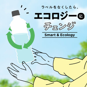 爽健美茶 600ml PET ラベルレス（24本入） お茶 13種 無糖 ブレンド茶 ラベルレス 環境にやさしい 箱買い まとめ買い  コカ・コーラ BB-0054