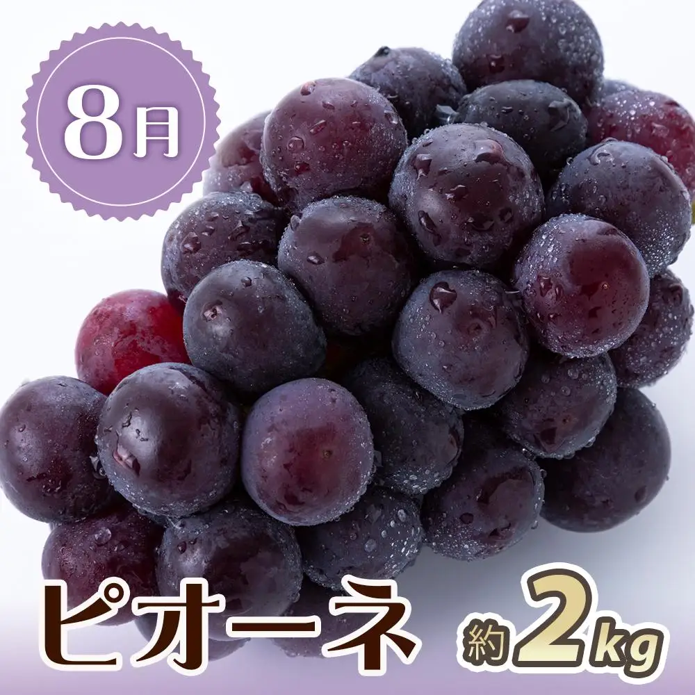【7・8・10月 全3回】紀州和歌山産旬のフルーツセット（桃・ピオーネ・ひらたねなし柿）定期便 【魚鶴商店】【UT67】