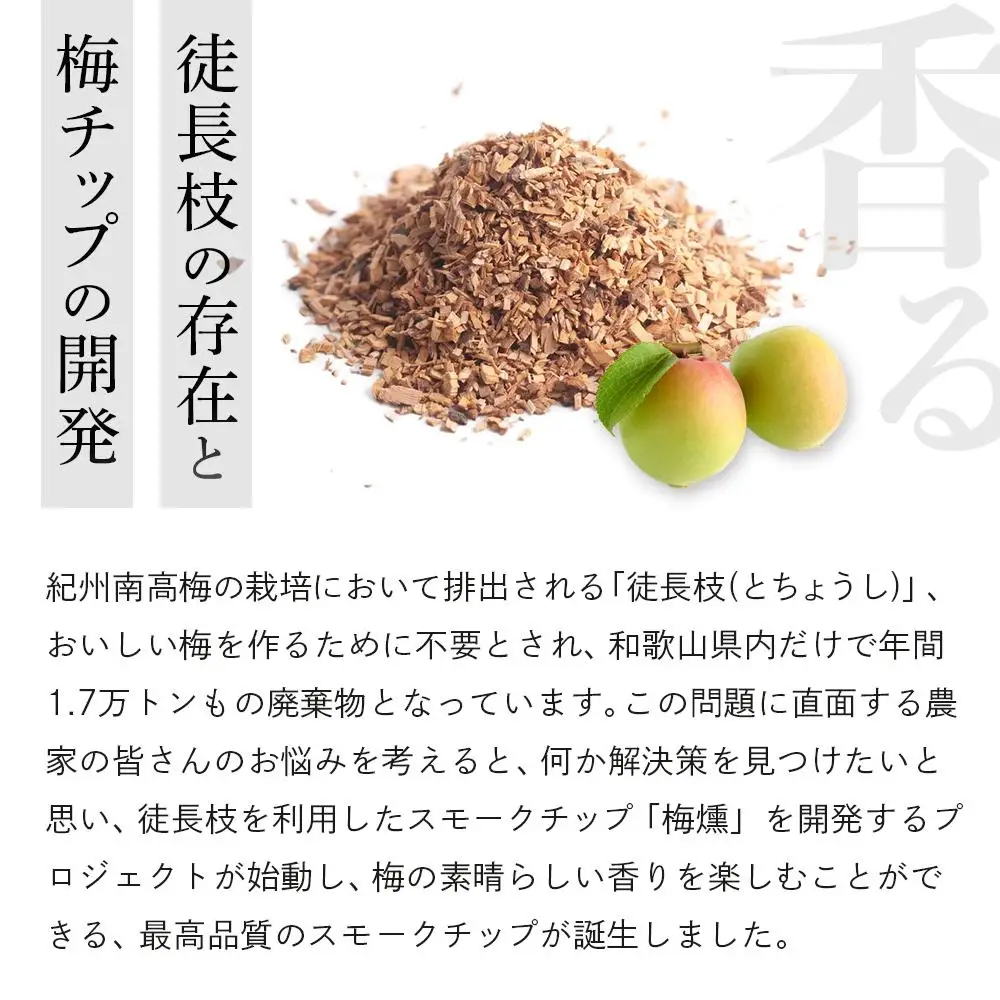 梅燻 南高梅 スモークチップ 約500g