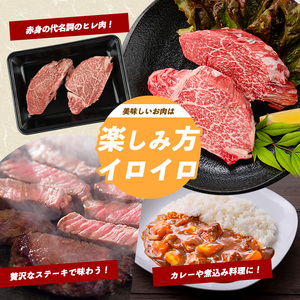 【2025年12月14日までのご入金で年内発送】薩摩牛 極 ヒレステーキ 300g 2枚入 カミチク IB112-018 A5 牛肉 牛肉 
