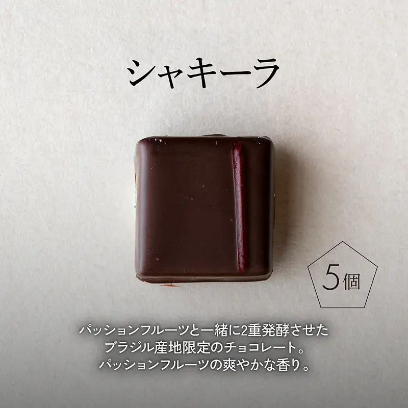 ボンボンショコラ5個(シャキーラ)&フェーブ80g（コイン状チョコレート）／NICOchocolaterie チョコレート チョコレート専門店 ボンボンショコラ スイーツ お菓子 贈答用 ギフト お取り寄せ 福岡県 小郡市 