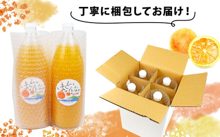 愛果28号 みかん 100% ストレートジュース 1,000ml × 4本 奥田農園 ジュース H024-188001