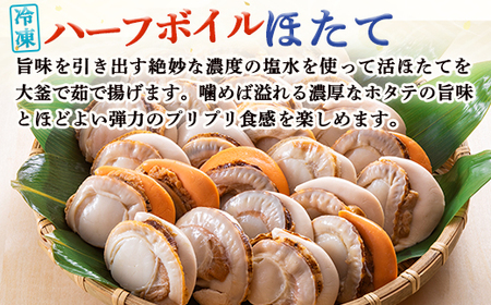北隆丸　冷凍ほたてセット ほたて貝柱1kg（41～80玉）・ハーフボイルほたて1kg（30～34個）オホーツク産（ホタテ 冷凍 海鮮 大粒 北海道 オホーツク）【1602401】