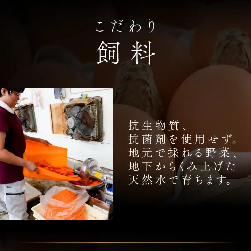 【6ヶ月連続お届け】 福井ブランド 「福地鶏」 の卵 20個 濃厚で甘くておいしい！  定期便 ／ 卵 たまご 鶏卵 生卵 有精卵 高級 高級卵 福地鶏 鶏 平飼い 美味しい こだわり 6ヶ月 定期便 卵かけご飯 料理 あわら市 福井県産 [aw036-d002]