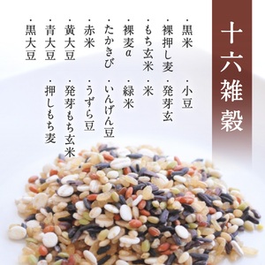【お試し】十六雑穀ごはん 160g×12個 パックご飯 パックごはん 雑穀 雑穀パックごはん 玄米 コシヒカリ こしひかり おこめのみかた 電子レンジ レトルト 鳥取県日南町