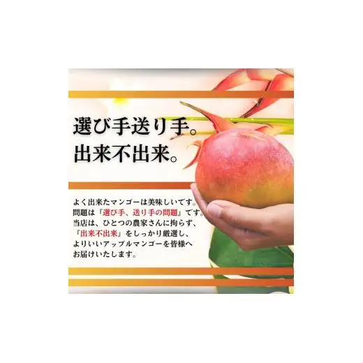 ＜予約受付＞完熟アップルマンゴー 7~12個 約5kg 