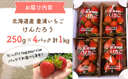 いちご 【2026月4月下旬以降出荷】豊浦いちご　250ｇ×4パック 