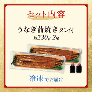 国産うなぎ 特大 蒲焼き 約230g前後 2尾 国産 うなぎ ウナギ 鰻 国産鰻 うなぎの蒲焼き ウナギの蒲焼 国産うなぎ蒲焼 国産鰻の蒲焼 魚 お魚 魚介 魚介類 海鮮 海鮮セット 惣菜 職人 手焼き ギフト 贈り物 プレゼント 福井 福井県 若狭町