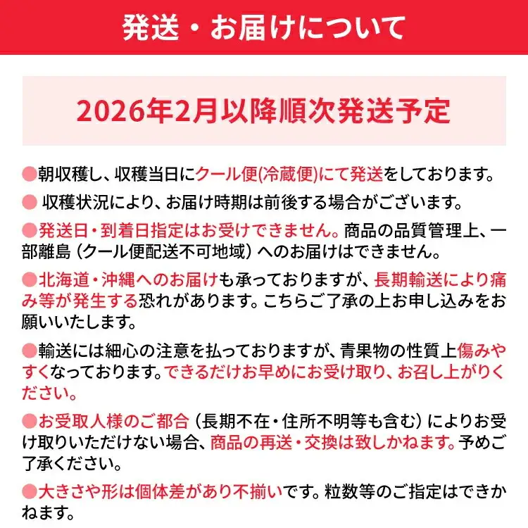 いちご 大木町産あまおういちご 約270ｇ×4P【2026年2月以降発送】CL001