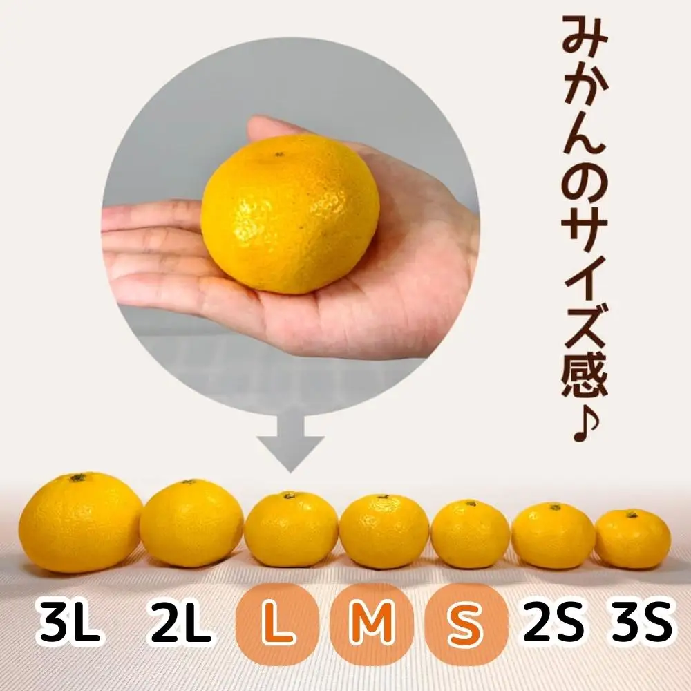 みかん 極早生 箱込 5kg (内容量約 4.4kg)  S/M/Lサイズのいずれか 秀品 優品 混合 有田みかん 和歌山県産 【みかんの会】［2026年10月上旬頃より順次発送予定］