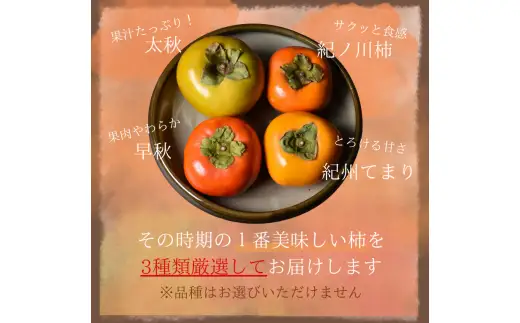 旬の 柿 詰め合わせ 2kg 特秀 / 詰め合わせ かき 2kg 甘い 太秋柿 紀ノ川柿 富有柿 早秋柿 珍しい 希少 和歌山産 ※2026年10月上旬～11月下旬に順次発送【frt504-p-tume-2】